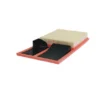 FILTRON filtr powietrza AP183/3 - VW Polo, Caddy, Seat Ibiza Altea 1.4/1.6 05-