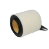 Filtr powietrza Mann-Filter C1361 - BMW E87